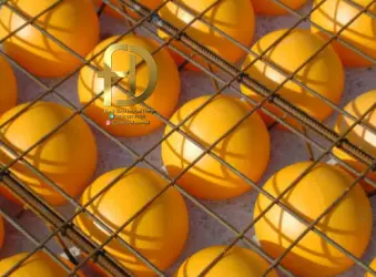 دال وافل-کوبیاکس